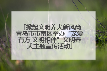 掀起文明养犬新风尚 青岛市市南区举办“宠爱有方 文明相伴”文明养犬主题宣传活动