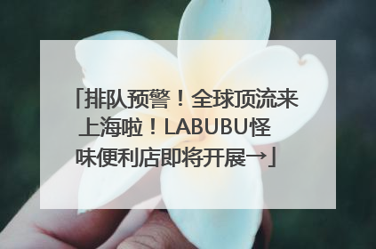 排队预警！全球顶流来上海啦！LABUBU怪味便利店即将开展→