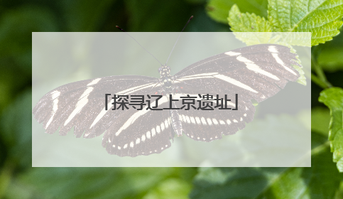 探寻辽上京遗址
