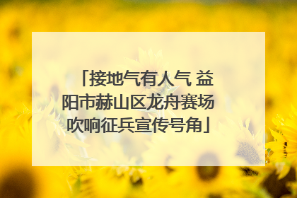 接地气有人气 益阳市赫山区龙舟赛场吹响征兵宣传号角