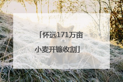 怀远171万亩小麦开镰收割