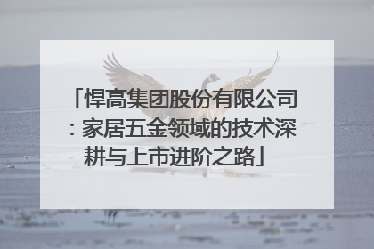 悍高集团股份有限公司：家居五金领域的技术深耕与上市进阶之路
