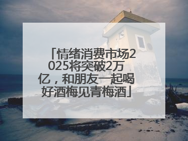 情绪消费市场2025将突破2万亿，和朋友一起喝好酒梅见青梅酒