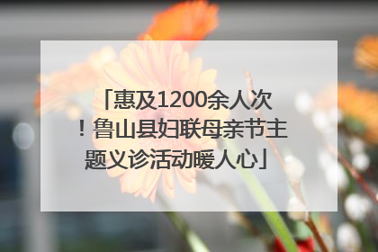 惠及1200余人次！鲁山县妇联母亲节主题义诊活动暖人心