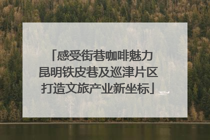 感受街巷咖啡魅力 昆明铁皮巷及巡津片区打造文旅产业新坐标