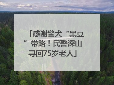 感谢警犬“黑豆”带路！民警深山寻回75岁老人