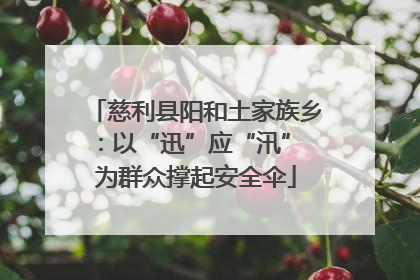 慈利县阳和土家族乡：以“迅”应“汛” 为群众撑起安全伞