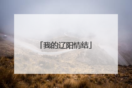 我的辽阳情结