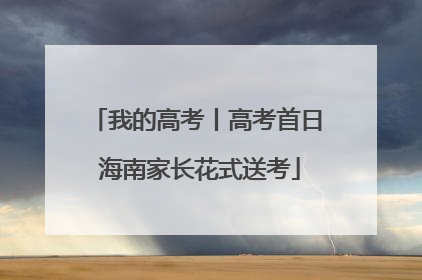 我的高考丨高考首日 海南家长花式送考