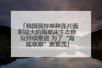 我国现存单种连片面积最大的海草床生态修复持续推进 为了“海底草原”更繁茂