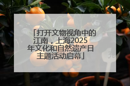 打开文物视角中的江南，上海2025年文化和自然遗产日主题活动启幕