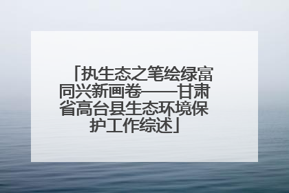 执生态之笔绘绿富同兴新画卷——甘肃省高台县生态环境保护工作综述