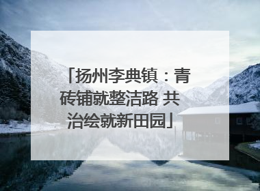 扬州李典镇：青砖铺就整洁路 共治绘就新田园