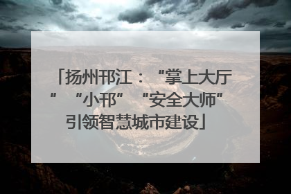 扬州邗江：“掌上大厅”“小邗”“安全大师”引领智慧城市建设