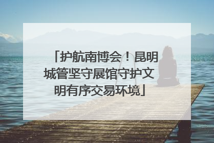 护航南博会！昆明城管坚守展馆守护文明有序交易环境