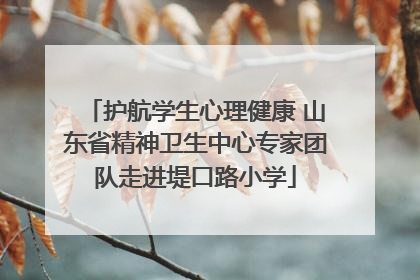 护航学生心理健康 山东省精神卫生中心专家团队走进堤口路小学