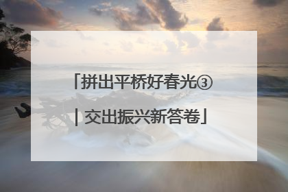 拼出平桥好春光③｜交出振兴新答卷