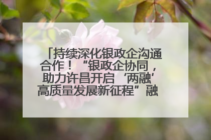 持续深化银政企沟通合作！“银政企协同，助力许昌开启‘两融’高质量发展新征程”融资对接会举行