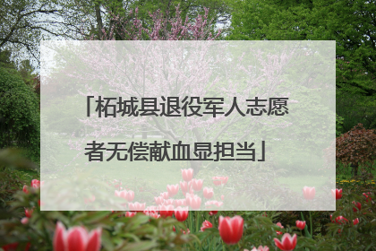 柘城县退役军人志愿者无偿献血显担当