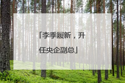 李季履新，升任央企副总