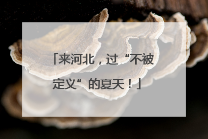 来河北，过“不被定义”的夏天！