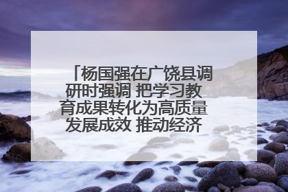 杨国强在广饶县调研时强调 把学习教育成果转化为高质量发展成效 推动经济稳健向好进中提质