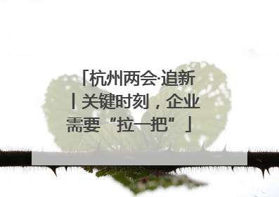 杭州两会·追新丨关键时刻，企业需要“拉一把”