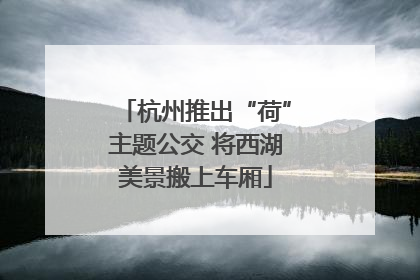 杭州推出“荷”主题公交 将西湖美景搬上车厢