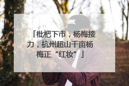 枇杷下市，杨梅接力，杭州超山千亩杨梅正“红妆”