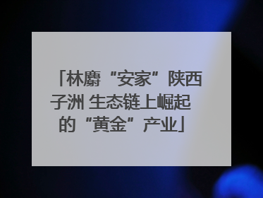 林麝“安家”陕西子洲 生态链上崛起的“黄金”产业
