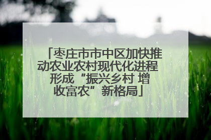 枣庄市市中区加快推动农业农村现代化进程 形成“振兴乡村 增收富农”新格局