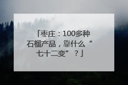 枣庄：100多种石榴产品，靠什么“七十二变”？