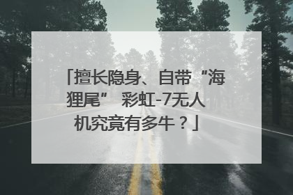 擅长隐身、自带“海狸尾” 彩虹-7无人机究竟有多牛？