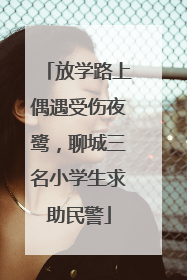 放学路上偶遇受伤夜鹭，聊城三名小学生求助民警