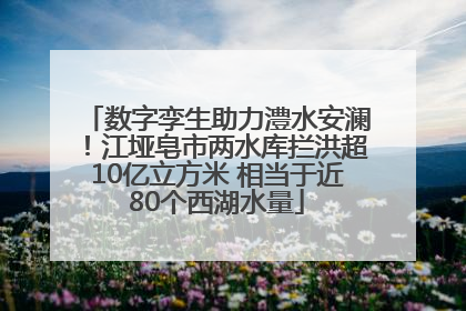 数字孪生助力澧水安澜！江垭皂市两水库拦洪超10亿立方米 相当于近80个西湖水量
