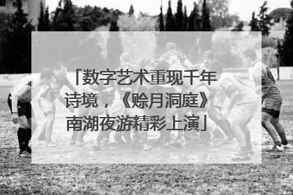 数字艺术重现千年诗境，《赊月洞庭》南湖夜游精彩上演