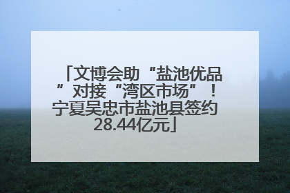 文博会助“盐池优品”对接“湾区市场”！宁夏吴忠市盐池县签约28.44亿元