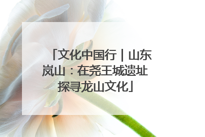 文化中国行｜山东岚山：在尧王城遗址探寻龙山文化