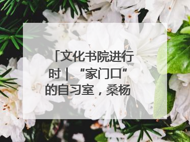 文化书院进行时｜“家门口”的自习室，桑杨社区织就15分钟学习生活圈