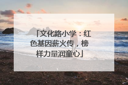 文化路小学：红色基因薪火传，榜样力量润童心