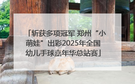 斩获多项冠军 郑州“小萌娃”出彩2025年全国幼儿手球嘉年华总站赛