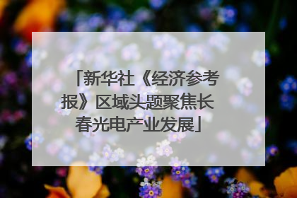 新华社《经济参考报》区域头题聚焦长春光电产业发展