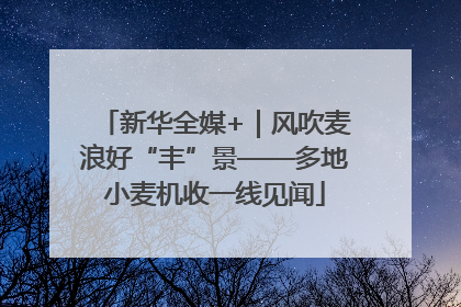 新华全媒+｜风吹麦浪好“丰”景——多地小麦机收一线见闻