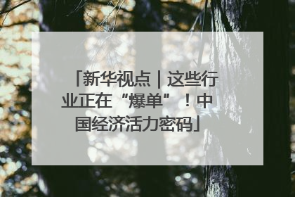 新华视点｜这些行业正在“爆单”！中国经济活力密码