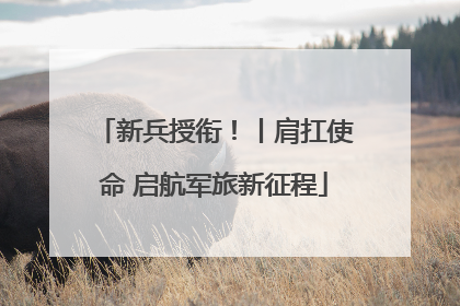 新兵授衔！丨肩扛使命 启航军旅新征程