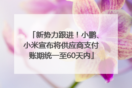新势力跟进！小鹏、小米宣布将供应商支付账期统一至60天内