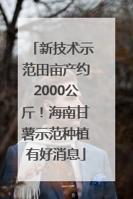 新技术示范田亩产约2000公斤！海南甘薯示范种植有好消息