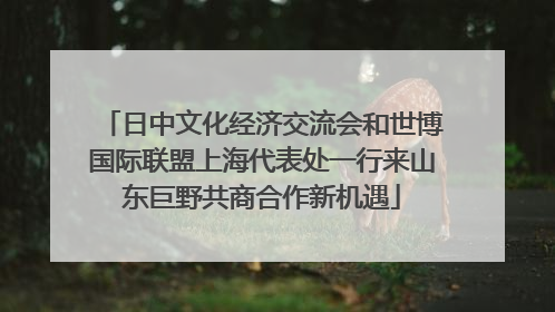 日中文化经济交流会和世博国际联盟上海代表处一行来山东巨野共商合作新机遇