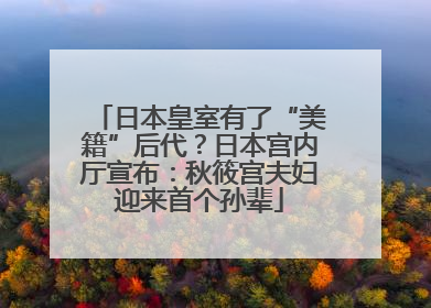 日本皇室有了“美籍”后代？日本宫内厅宣布：秋筱宫夫妇迎来首个孙辈