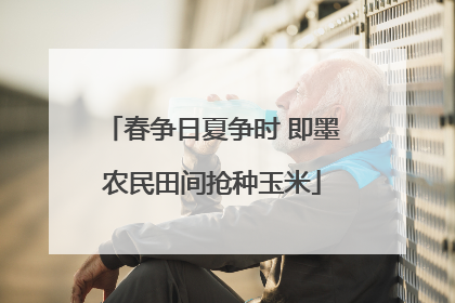 春争日夏争时 即墨农民田间抢种玉米